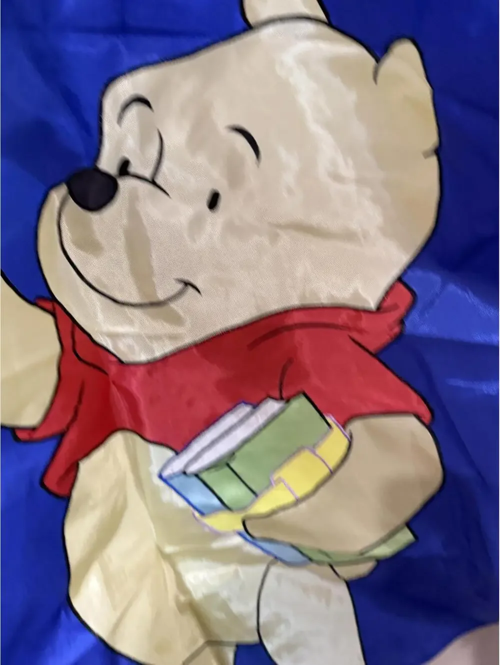 Vintage Winnie the Pooh School Days Decorative Flag